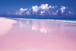 pink_beach.jpg