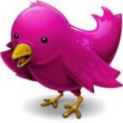 pink_twitter_bird.jpg