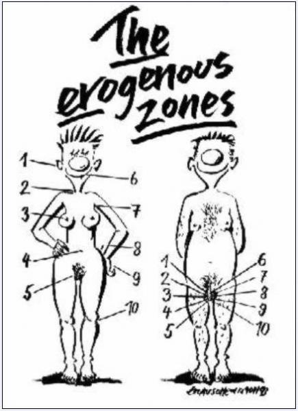 erogenous-zones.jpg